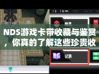NDS游戲卡帶收藏與鑒賞，你真的了解這些珍貴收藏嗎？