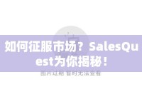 如何征服市場？SalesQuest為你揭秘！