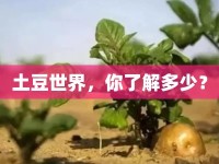 土豆世界，你了解多少？