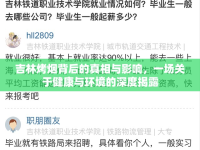 吉林烤煙背后的真相與影響，一場(chǎng)關(guān)于健康與環(huán)境的深度揭露