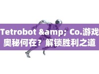 Tetrobot &amp; Co.游戲奧秘何在？解鎖勝利之道！