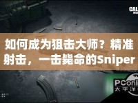 如何成為狙擊大師？精準(zhǔn)射擊，一擊斃命的Sniper通關(guān)攻略！