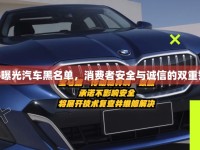 315曝光汽車黑名單，消費者安全與誠信的雙重警鐘