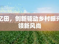 戶縣億田，創(chuàng)新驅(qū)動鄉(xiāng)村振興，引領新風尚