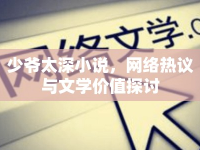 少爺太深小說，網(wǎng)絡(luò)熱議與文學價值探討