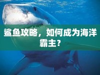 鯊魚攻略，如何成為海洋霸主？