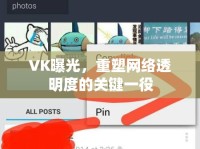 VK曝光，重塑網(wǎng)絡(luò)透明度的關(guān)鍵一役
