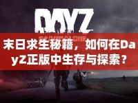 末日求生秘籍，如何在DayZ正版中生存與探索？