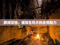 瞬間定格，捕捉生照片的永恒魅力