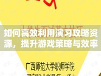 如何高效利用演習(xí)攻略資源，提升游戲策略與效率？