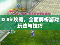 D Sir攻略，全面解析游戲玩法與技巧