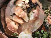 19歲日本片揭秘：青春背后隱藏的真相，你敢直面嗎？
