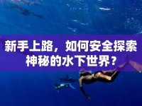 新手上路，如何安全探索神秘的水下世界？