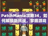 PatchMania攻略34，如何解鎖新挑戰(zhàn)，掌握游戲精髓？