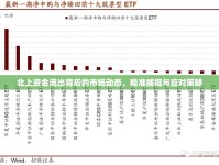 北上資金流出背后的市場(chǎng)動(dòng)態(tài)，精準(zhǔn)捕捉與應(yīng)對(duì)策略