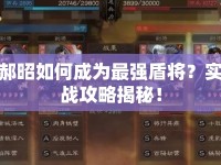 郝昭如何成為最強盾將？實戰(zhàn)攻略揭秘！