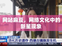 網(wǎng)站麻豆，網(wǎng)絡(luò)文化中的新星現(xiàn)象