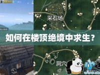 如何在樓頂絕境中求生？