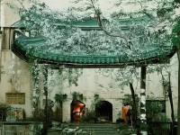 自拍為何能從個人愛好演變?yōu)槿裎幕F(xiàn)象？