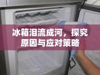 冰箱淚流成河，探究原因與應(yīng)對(duì)策略