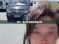 奈兮，魅力女主播的直播之旅