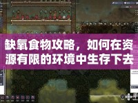缺氧食物攻略，如何在資源有限的環(huán)境中生存下去
