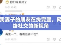 我妻子的朋友在線完整，網(wǎng)絡社交的新視角