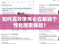 如何高效使用必應(yīng)解鎖個性化搜索體驗？