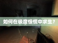 如何在極度驚慌中求生？