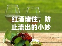紅酒堵住，防止流出的小妙招