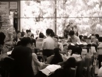 欲望華凌，網(wǎng)絡熱議背后的文化現(xiàn)象