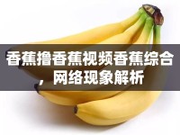 香蕉擼香蕉視頻香蕉綜合，網(wǎng)絡(luò)現(xiàn)象解析
