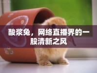 酸漿兔，網(wǎng)絡直播界的一股清新之風