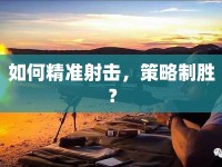 如何精準(zhǔn)射擊，策略制勝？