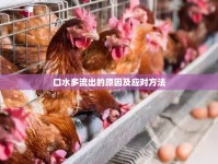 口水多流出的原因及應(yīng)對方法
