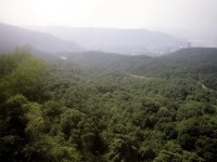 彈彈堂手游，榮耀達(dá)人如何踏上傳奇之路？