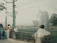 如何提升尋仙手游寵物實(shí)力，打造最強(qiáng)戰(zhàn)斗伙伴？