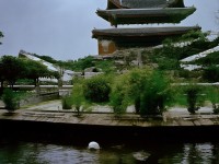 媽媽的朋友影視，情感與倫理的碰撞，藝術(shù)如何詮釋復(fù)雜人性？