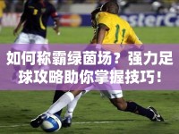 如何稱霸綠茵場(chǎng)？強(qiáng)力足球攻略助你掌握技巧！