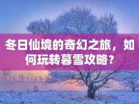 冬日仙境的奇幻之旅，如何玩轉(zhuǎn)暮雪攻略？