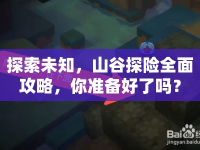 探索未知，山谷探險全面攻略，你準備好了嗎？