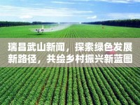 瑞昌武山新聞，探索綠色發(fā)展新路徑，共繪鄉(xiāng)村振興新藍(lán)圖
