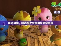 萌態(tài)可掬，帥雞照片引爆網(wǎng)絡(luò)新寵風(fēng)潮
