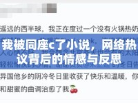 我被同座c了小說，網(wǎng)絡(luò)熱議背后的情感與反思