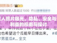 全城人照片曝光，隱私、安全與公共利益的權(quán)衡與探討