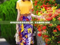 柳州城市光影中的溫柔之聲，女主播的魅力綻放