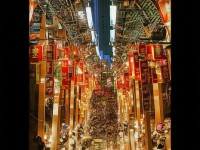 傳奇世界手游哪個(gè)職業(yè)最強(qiáng)？新手選職業(yè)必看攻略！，采用直接疑問形式，點(diǎn)明用戶最關(guān)心的最強(qiáng)職業(yè)問題，同時(shí)用必看攻略吸引點(diǎn)擊，簡(jiǎn)潔且有吸引力。）