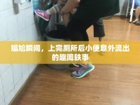 尷尬瞬間，上完廁所后小便意外流出的趣聞軼事