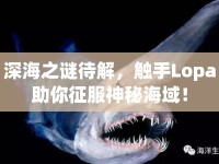 深海之謎待解，觸手Lopa助你征服神秘海域！
