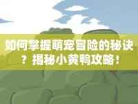 如何掌握萌寵冒險(xiǎn)的秘訣？揭秘小黃鴨攻略！